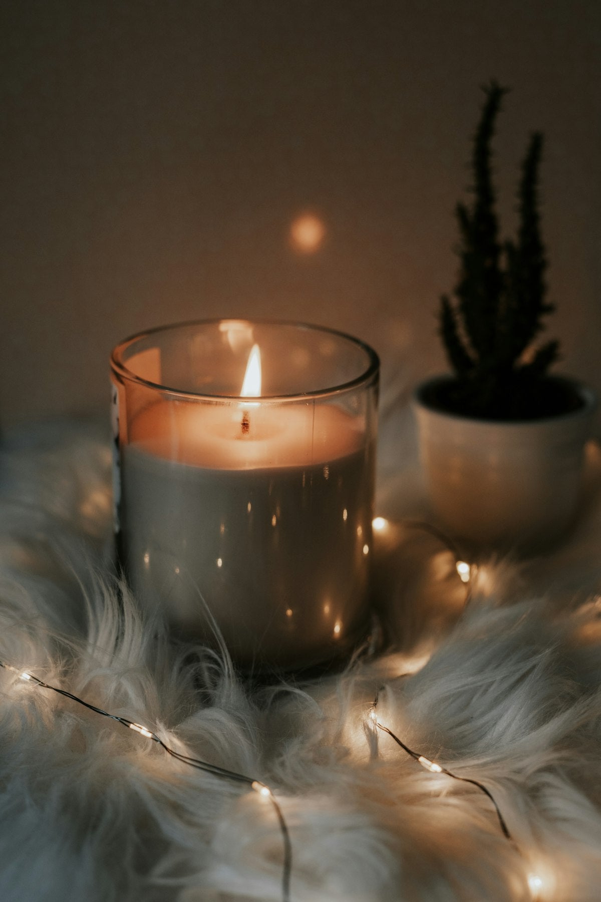 Luxury coconut wax candles - House 1988 at Field And Vase